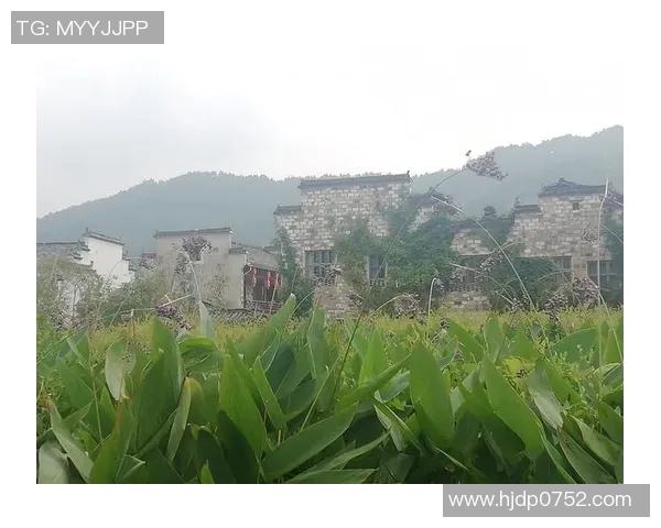 梦中邂逅足球明星的妹妹与我共度奇幻时光的故事